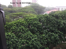 Bayshore Park (D16), Condominium #200037362